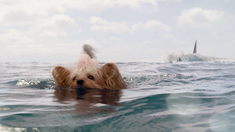 The fact that this is an official image from the film is everything you need to know.